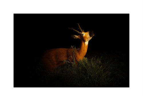 A mounted deer bow and arrow tracki target with small antlers, displayed in a naturalistic pose on dark grass against a solid black background.
