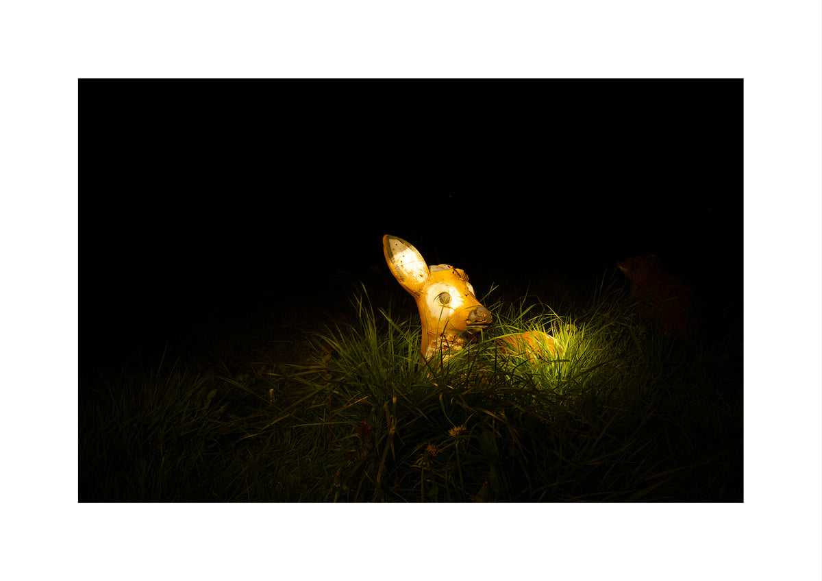 A glowing bow and arrow track target, sitting in dark grass at night with its eyes illuminated, framed by a white border.