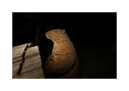 A carved wooden beaver bow and arrow track target figurine illuminated by a warm spotlight against a dark outdoor background, positioned next to a weathered wooden plank.
