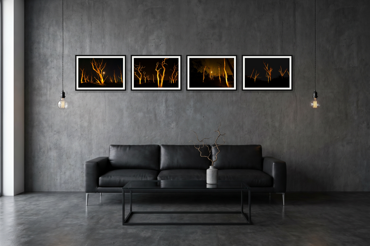 Four images of bare trees lit at night mounted on a wall in an industrial design room.