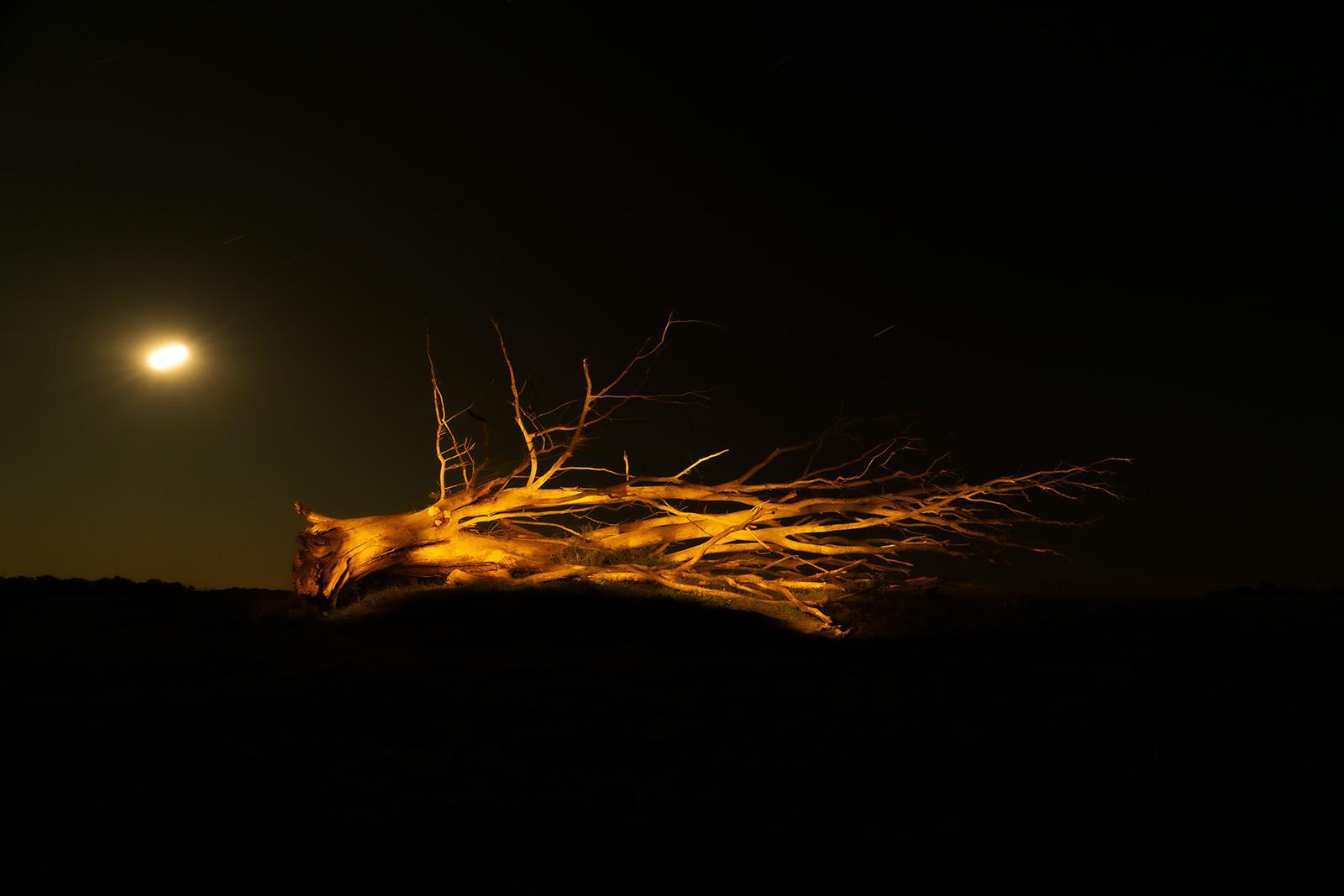 Guestebieser Loose revisited